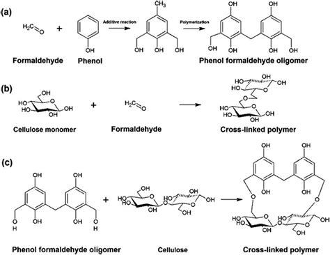 Schematic chemical reactions of cell-wall polymers and phenol ...