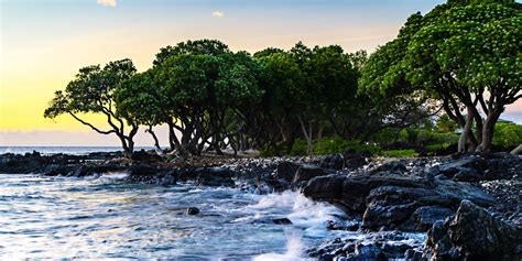 Hawaii Big Island Resort | Waikoloa Beach Resort