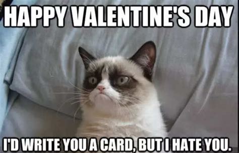 Happy Valentines Day 2023 Memes, Wishes, Messages & Status: 25 funny memes and messages about ...