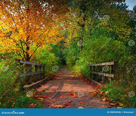 Trail through a Beautiful Autumn Forest in Upstate New York Stock Photo - Image of landscape ...