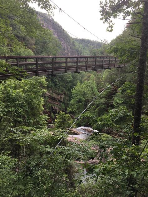 Beautiful Tallulah Gorge State Park | VeganRV