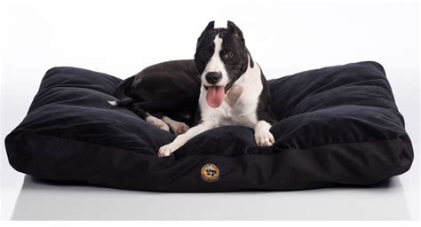 Gorilla Dog Beds® Tough Orthopedic Dog Bed Gorilla Dog, 48% OFF