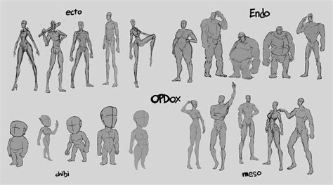 ArtStation - Class Assignment: character body types meso-endo-ecto-chibi