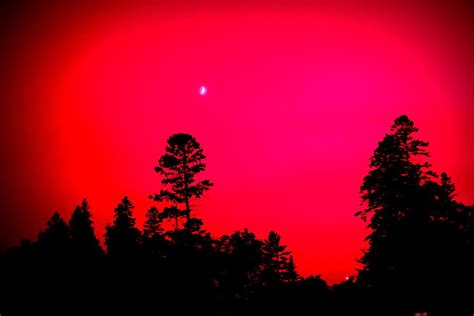 Red Moon Rising Photograph by Bill Noonan - Fine Art America