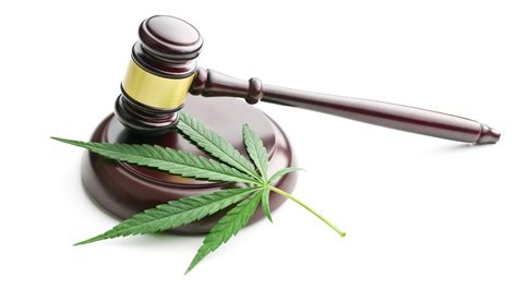 Your Blog - Finding Trusted Medicinal Marijuana Clinics: 10 Easy Tips