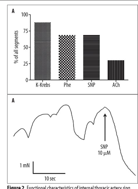 [PDF] Human internal thoracic artery grafts exhibit severe ...