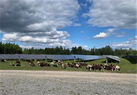 Solar farming and agrivoltaics instead of gas and coal - examples of their use in Ukraine and ...