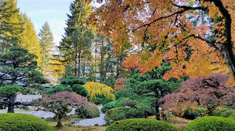 Fall at the Portland Japanese Garden - Pechluck's Food Adventures