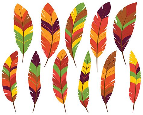 turkey feather clipart 10 free Cliparts | Download images on Clipground 2024