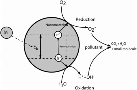 Mechanism of photocatalytic degradation of water pollutants | Download Scientific Diagram