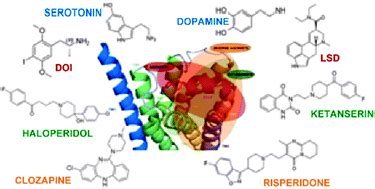 Molecular modeling and docking studies of human 5-hydroxytryptamine 2A ...