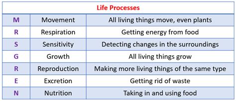 Life Processes (examples, answers, activities, experiment, videos)