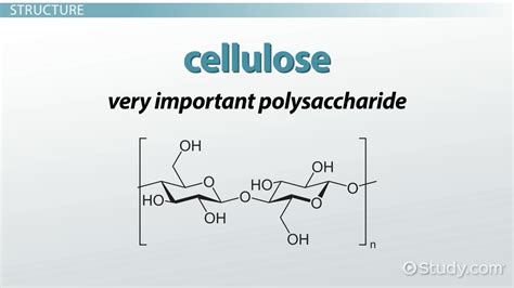 Chemical Structure Of Cellulose And Starch