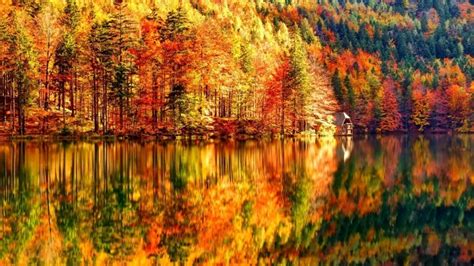 Autumn Landscape HD Wallpaper - WallpaperFX