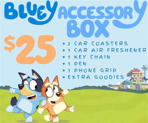 Bluey Mystery Box | Cussinsisters