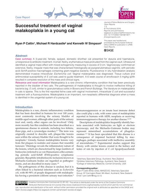 (PDF) Successful treatment of vaginal malakoplakia in a young cat