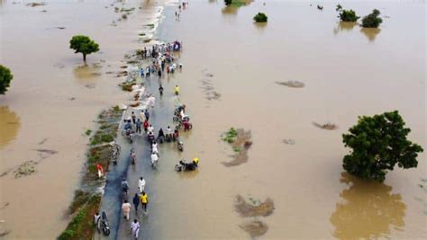 National action plan needed to tackle flood damage to economy