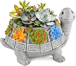 The Ultimate Guide to Buying a Turtle Planter: Types, Features, Prices ...