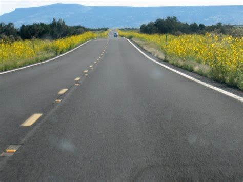 Sunflower Highways | Highway 87 south of Winslow- many highw… | Flickr