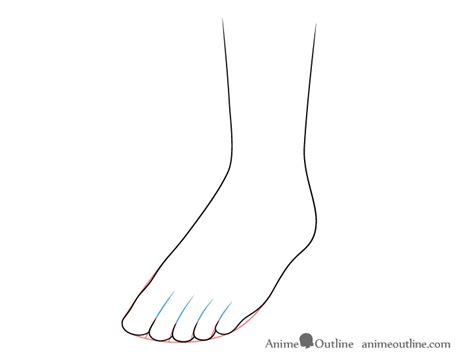 How to Draw Toes & Toenails on a Foot in 4 Steps - AnimeOutline