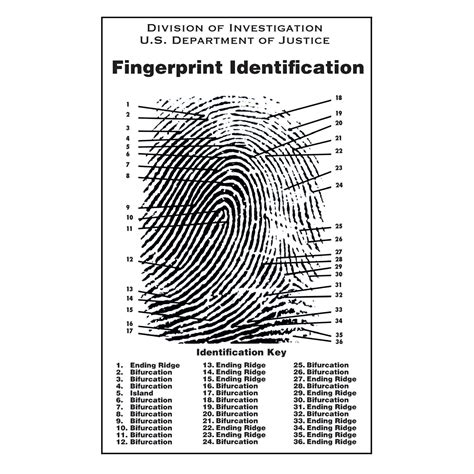 Fingerprint Poster
