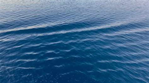 Floating Iceberg Before Sunset Nordvestfjord Scoresbysund Stock Footage ...