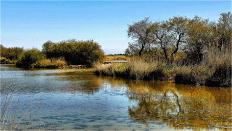 Camargue photo et image | europe, france, provence-alpes-côte d'azur Images fotocommunity