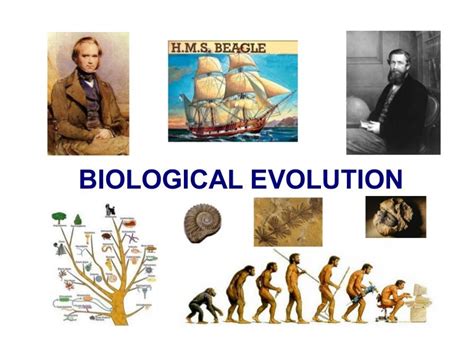 Unit5 biological evolution
