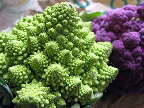 5 Colorful Cauliflower Varieties To Grow - Hobby Farms