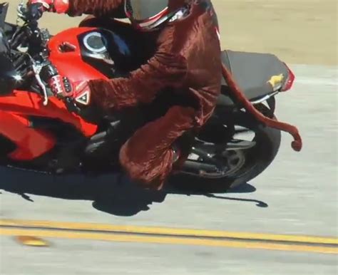 Halloween Costumes Are Fun but Can Be Dangerous When Riding a Motorcycle - autoevolution