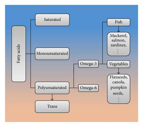 The classification of fatty acids. | Download Scientific Diagram