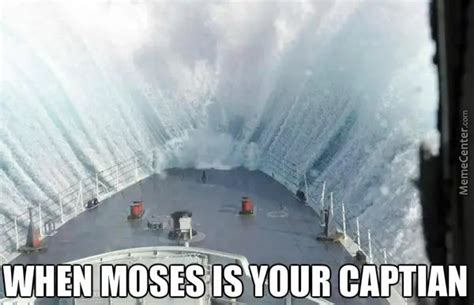 Top 10 Cruise Memes