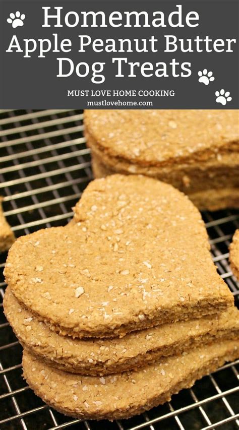 Recipes For Diabetic Dog Treats | Besto Blog