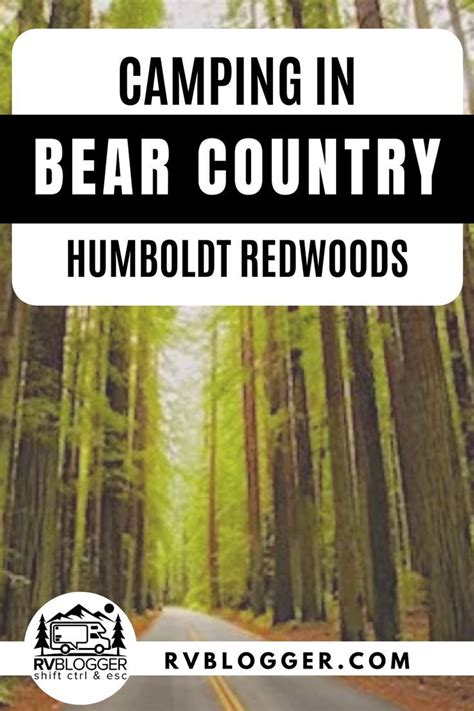 RV Camping in Humboldt Redwoods State Park (With images) | Humboldt ...