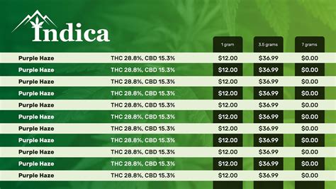 A Quick Start Guide to Dispensary Digital Menu Boards - Signcast Media Inc