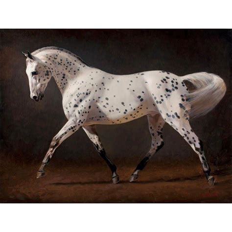 Spotted Horse Painting Oil on Canvas | Chairish