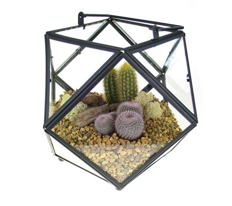 Cactus Terrarium Kit - Stunning Large Geometric Design, UK – The Art of Succulents