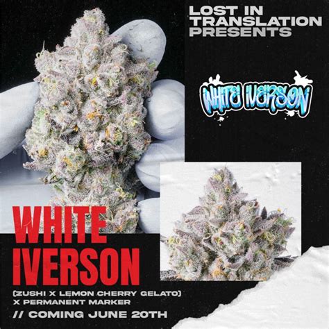 white iverson Lit Farms - Heavily Connected Seeds