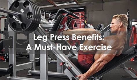 Leg Press Benefits: A Must-Have Exercise