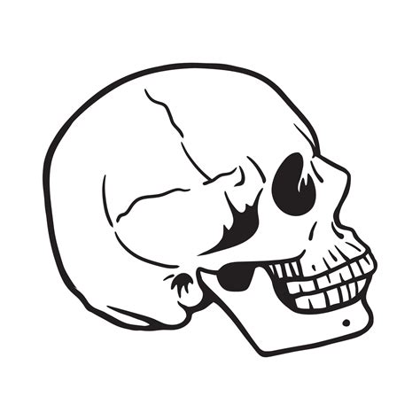 Side view of a human head skull. Black and white vector illustration ...