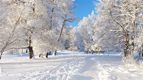 Winter Snow Backgrounds - Wallpaper Cave