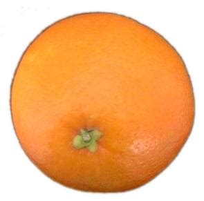 File:Orange-fruit-2.jpg - Wikimedia Commons