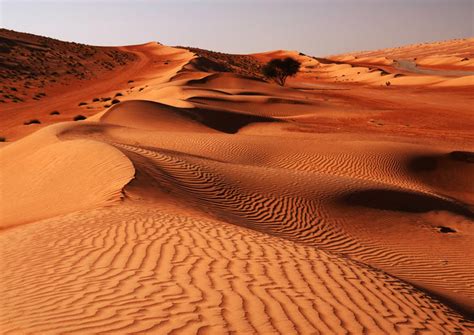 Oman Desert Safaris - 2020 Travel Recommendations | Tours, Trips & Tickets | Viator