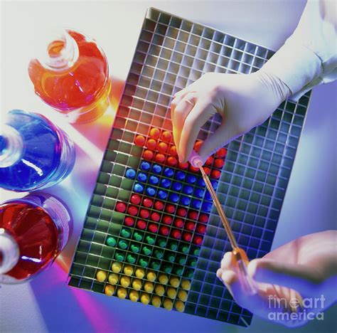 Manufacture Of Immunoassay Medical Diagnostic Kits Photograph by Colin Cuthbert/science Photo ...