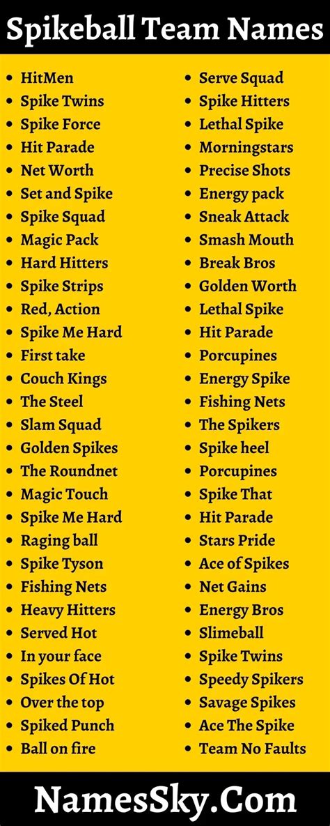 601+ Spikeball Team Names That Stand Out