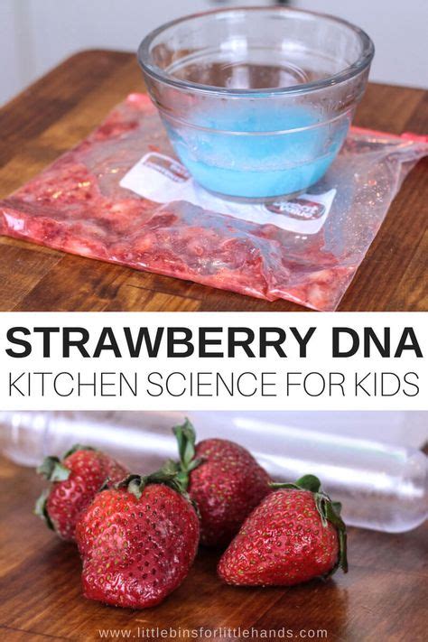 Fun Science Experiments For Kids | Food science experiments, Cool ...