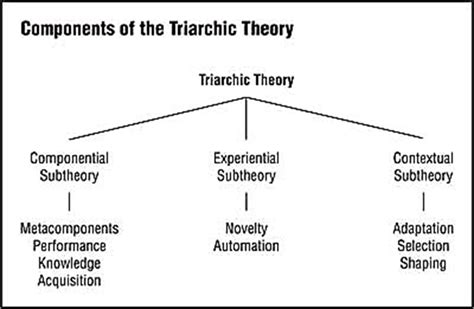 Triarchic Theory - Measuring Intelligence