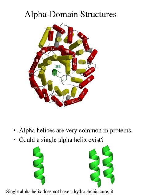 Alpha | Alpha Helix | Hemoglobin