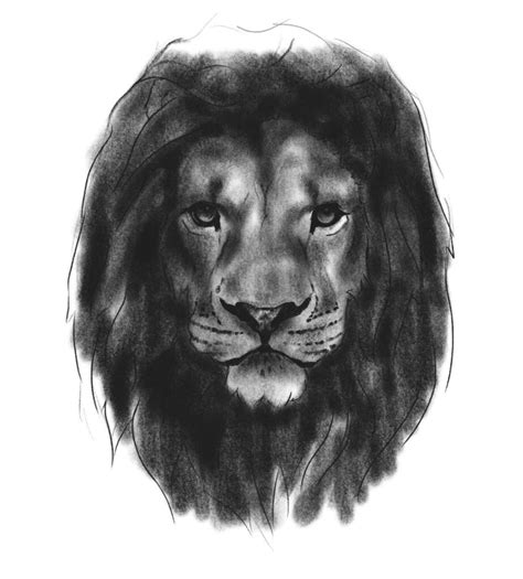 How To Draw A Realistic Lion Face