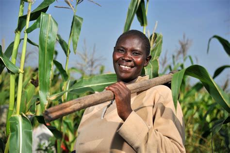 US to tap traditional African crops to solve food insecurity - The Business Wiz